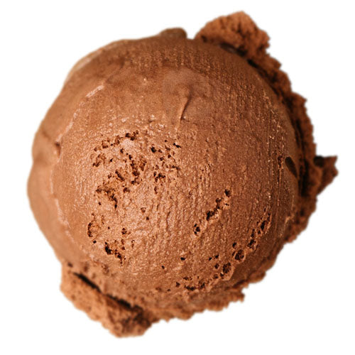 Fall Favourites - Cinnamon